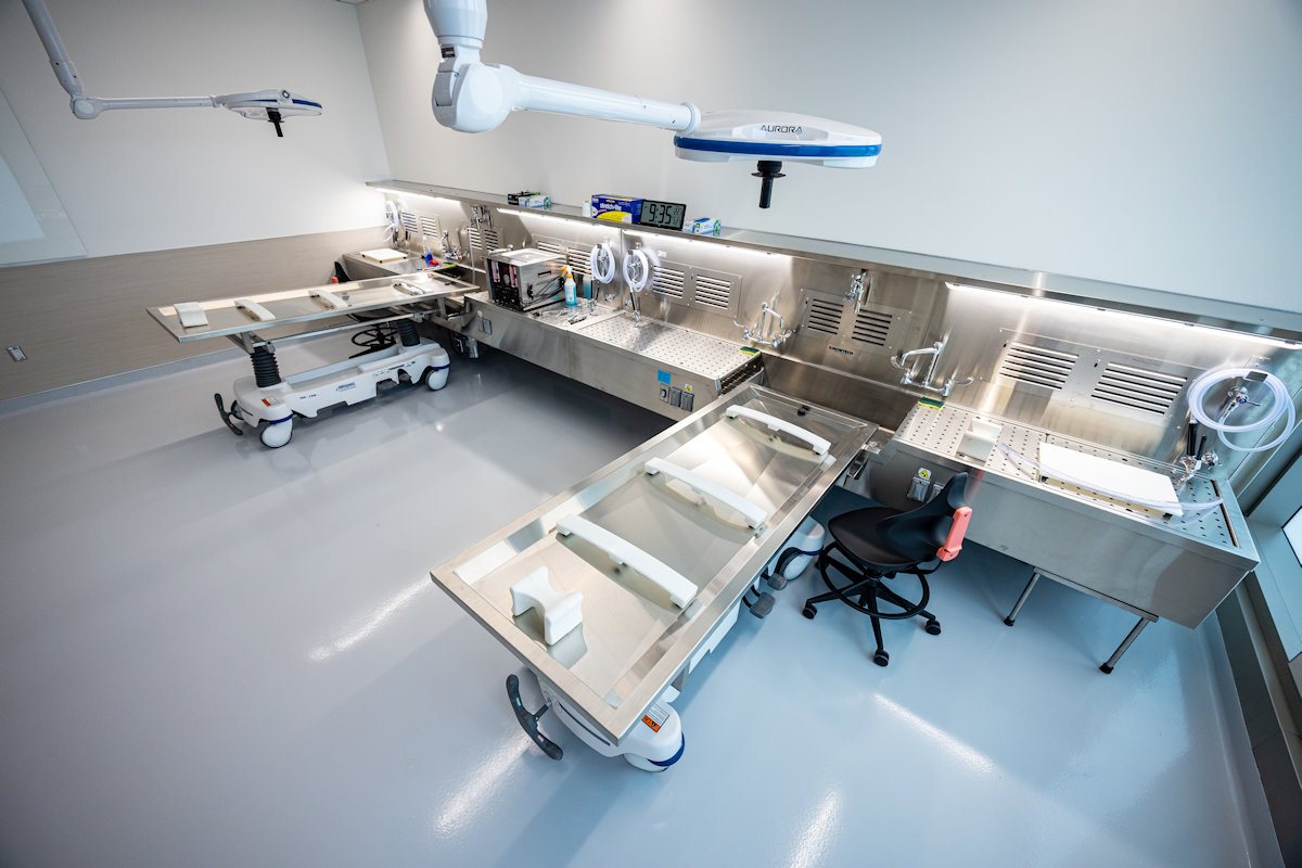 Spencer Fox Eccles School of Medicine building photo 16